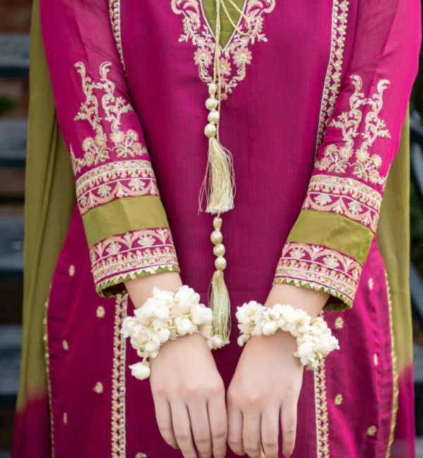 Embroidered 3Pc Outfit – Special Occasion - Image 3