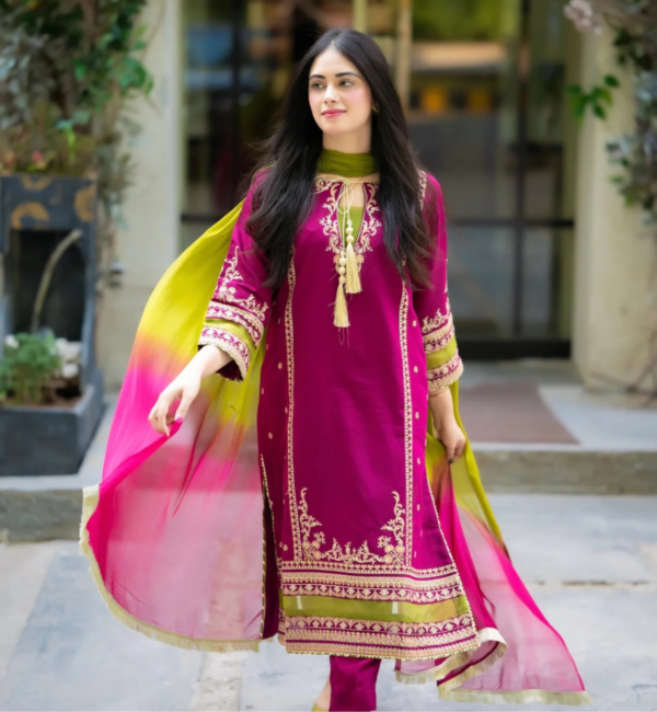 Embroidered 3Pc Outfit – Special Occasion - Image 2