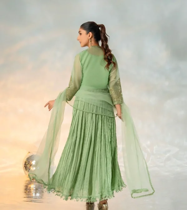 Green Anarkali Dress | Embroidered - Image 3