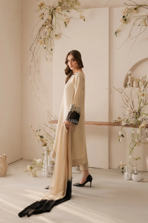 3pc suit for women