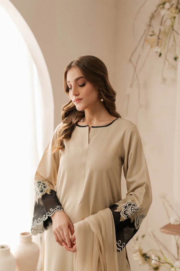 3pc suit for women